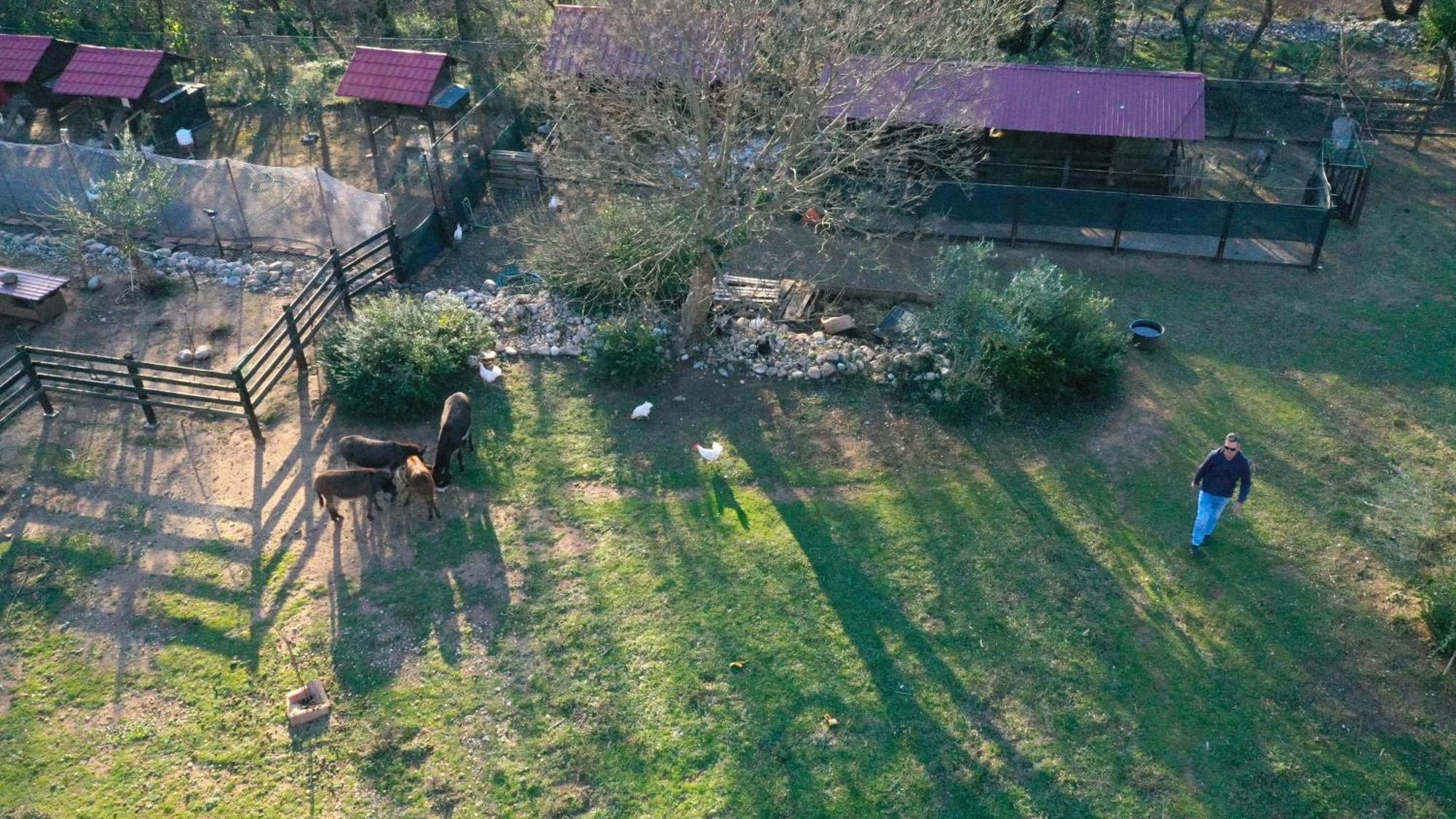 Ranch Stara Maslina Kotor