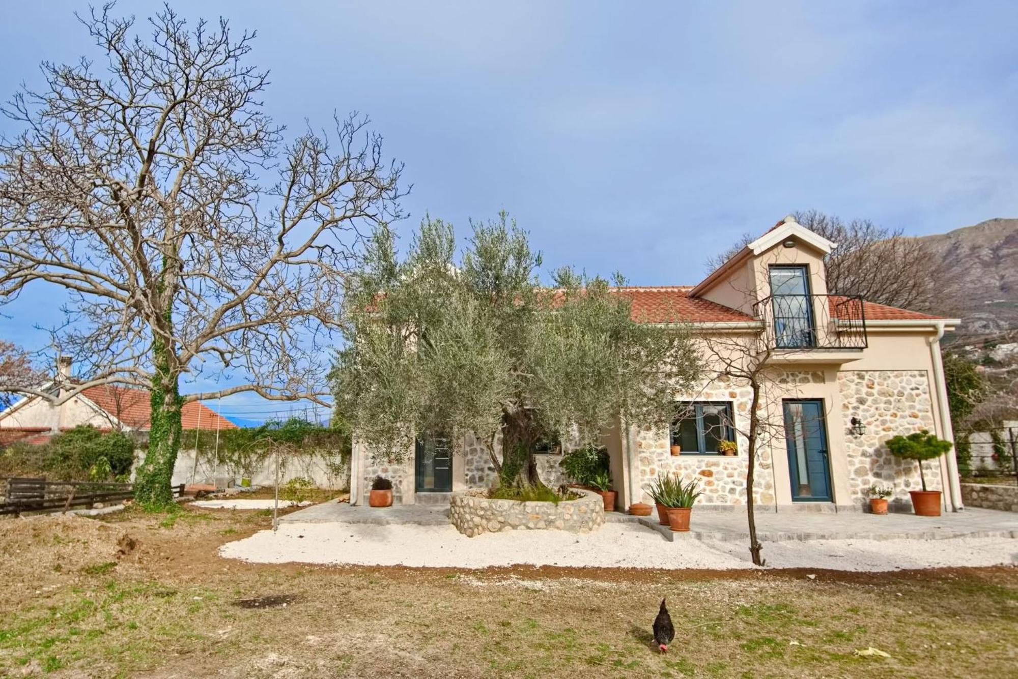 Ranch Stara Maslina Kotor