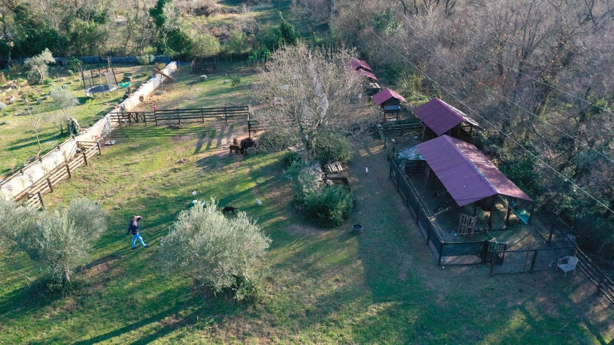 Ranch Stara Maslina Appartement Kotor