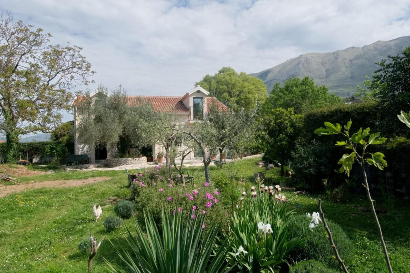 Appartement Ranch Stara Maslina